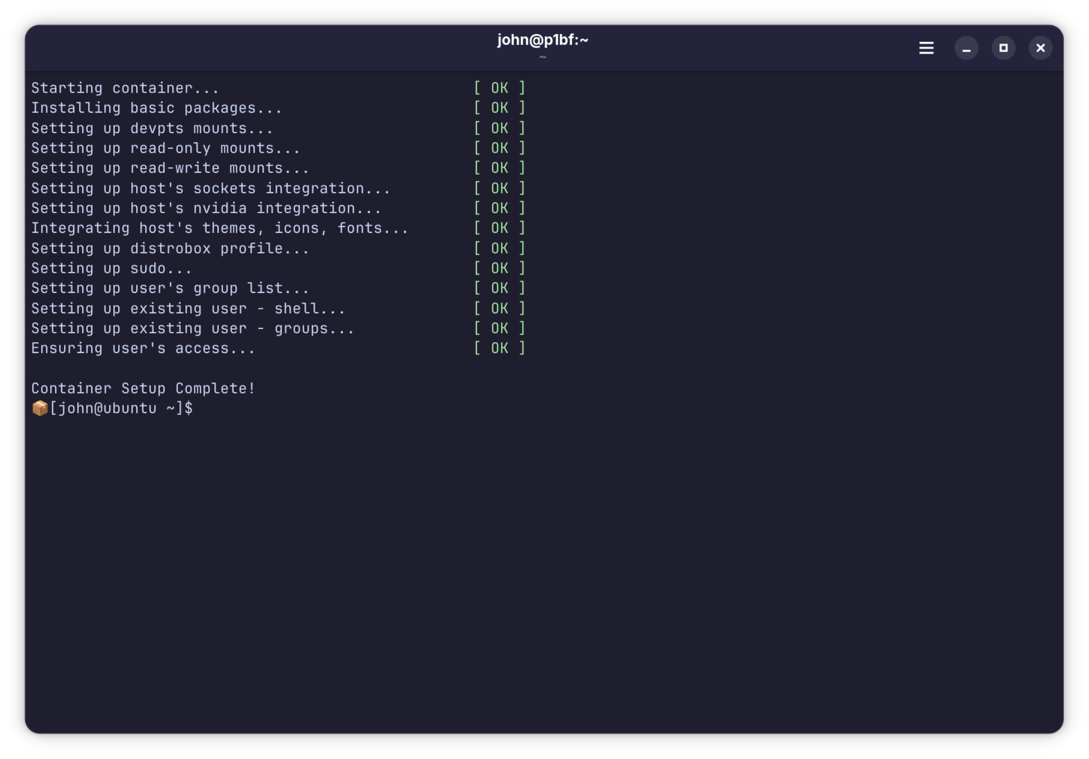 Terminal showing the container setup completing and a shell prompt inside the ubuntu box