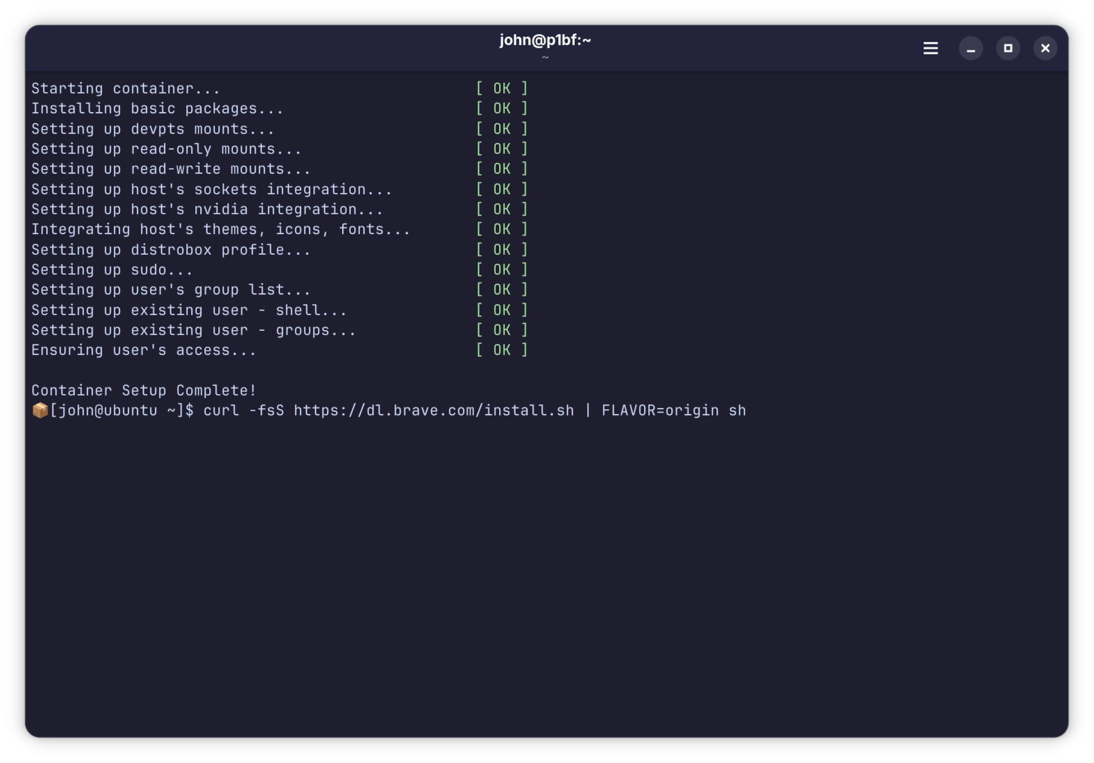 Running the Brave install one-liner inside the container