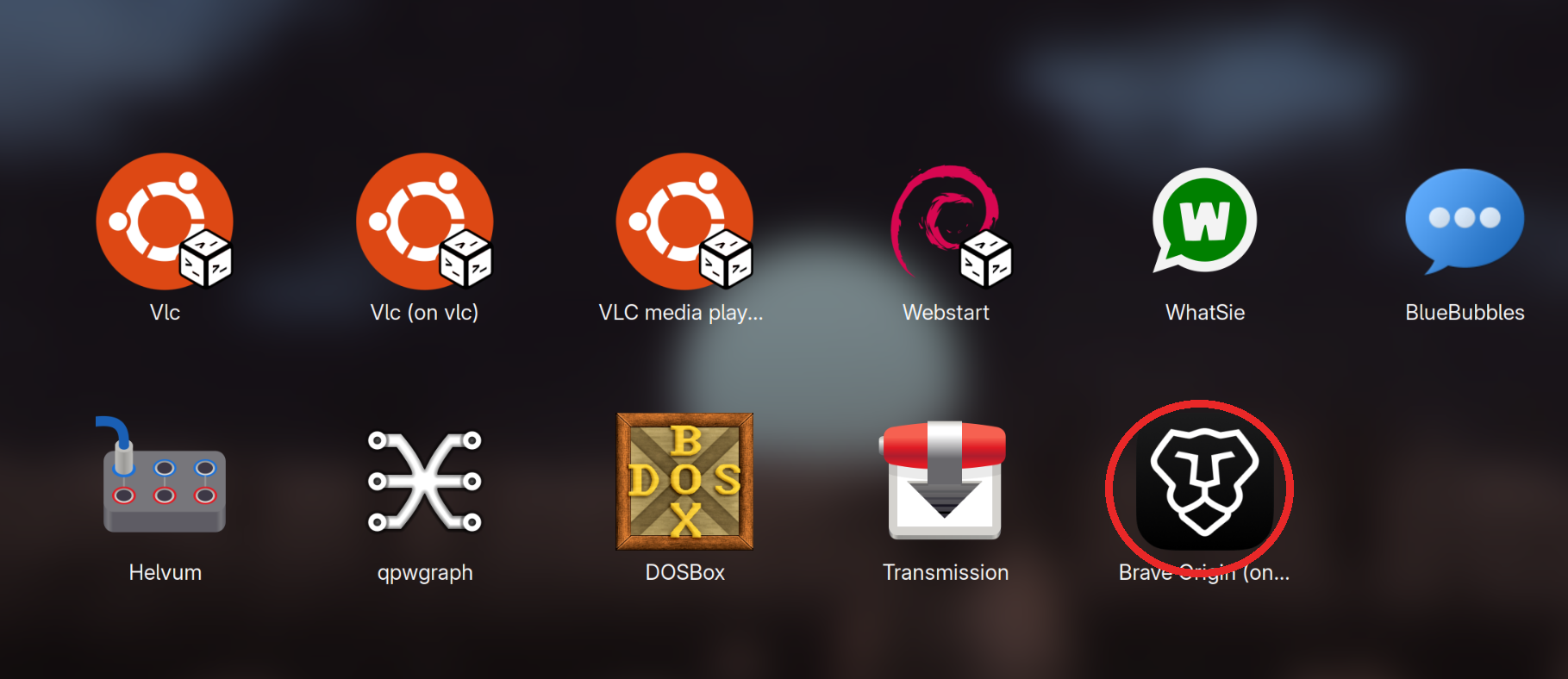 Brave Origin circled in the GNOME app grid, alongside other exported apps